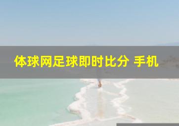 体球网足球即时比分 手机